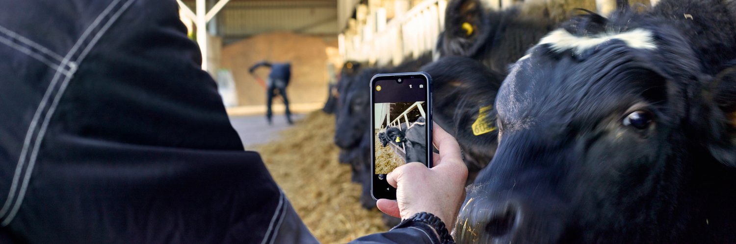 Why the NEW JCB Toughphone is ideal if you work in Agriculture...